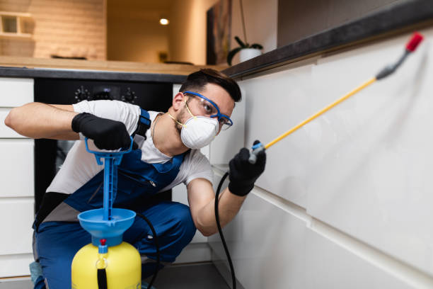 Best Best Pest Control Companies  in Caway, AR