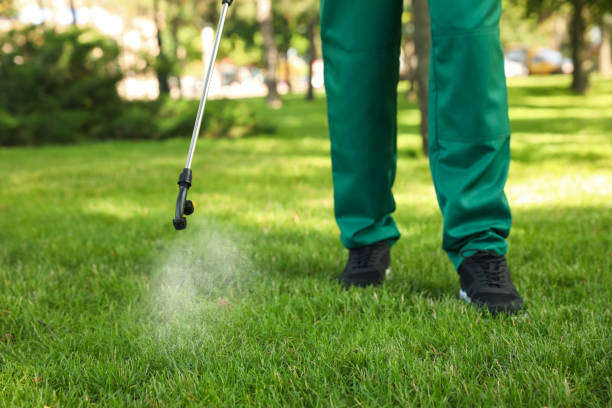 Best Affordable Pest Control Services  in Caway, AR