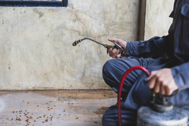 Best Pest Control Near Me  in Caway, AR