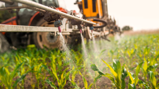 Reliable Caraway, AR Pest Control Solutions